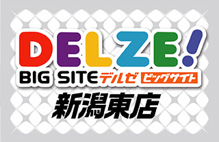 pachinko デルゼビッグサイト　新潟東店